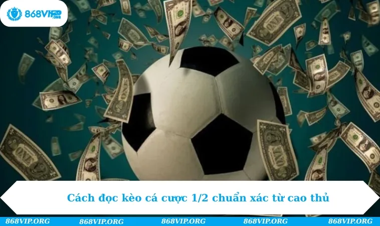 Cách đọc kèo cá cược 1/2 chuẩn xác từ cao thủ