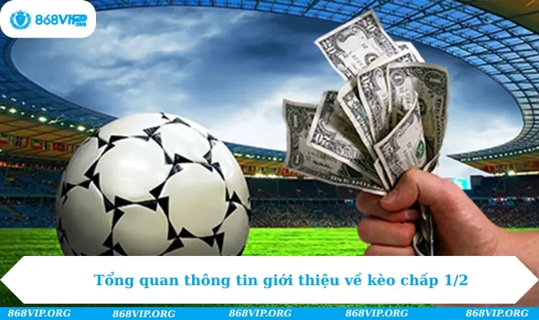 Tổng quan thông tin giới thiệu về kèo chấp 1/2